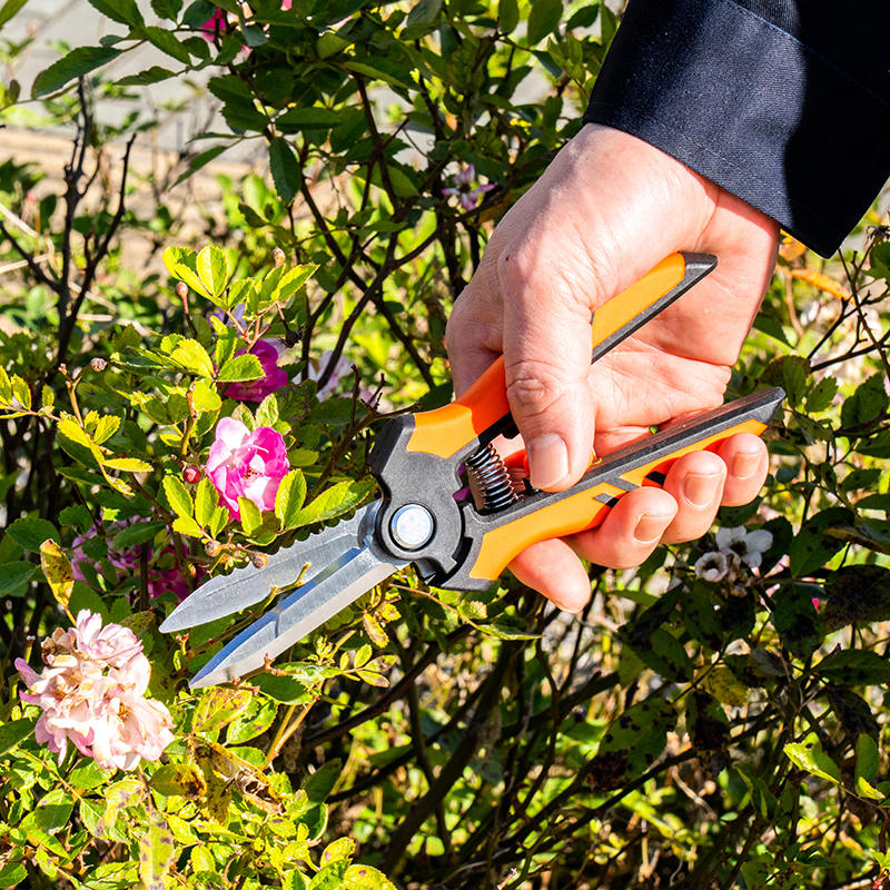 S303 Multi-function Pruning Snips