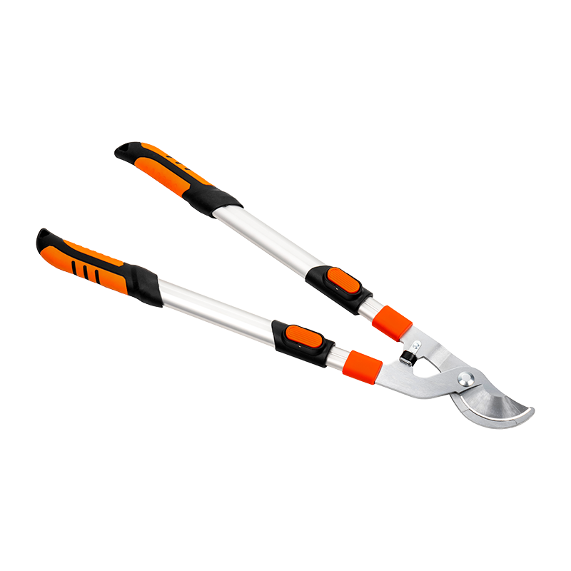 C4201 Telescopic Bypass Loppers