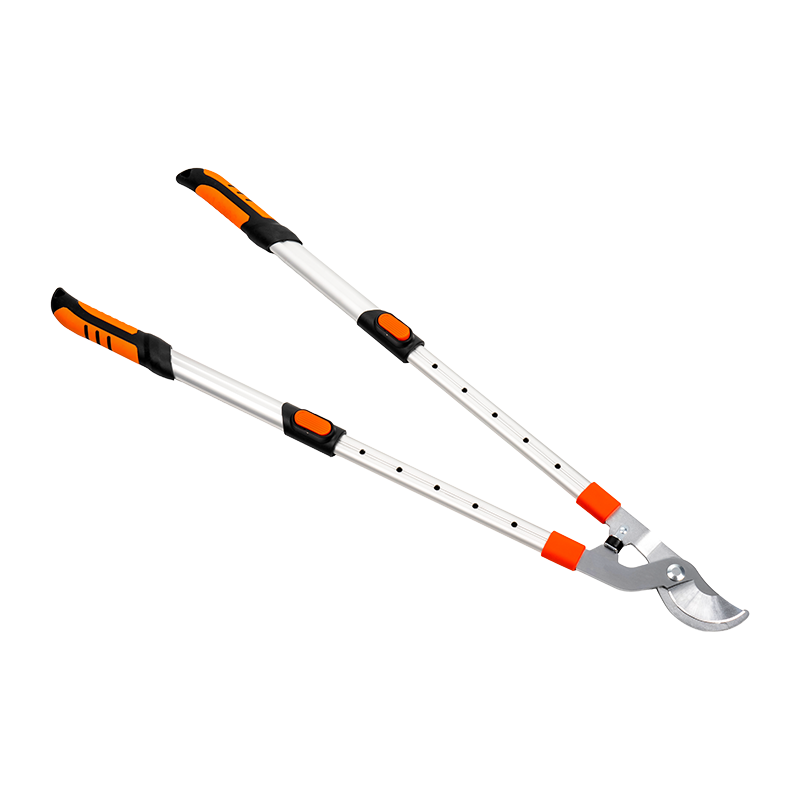 C4201 Telescopic Bypass Loppers