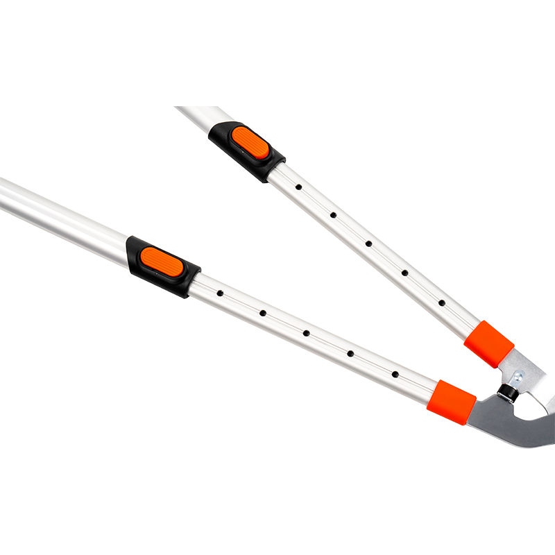 C4201 Telescopic Bypass Loppers