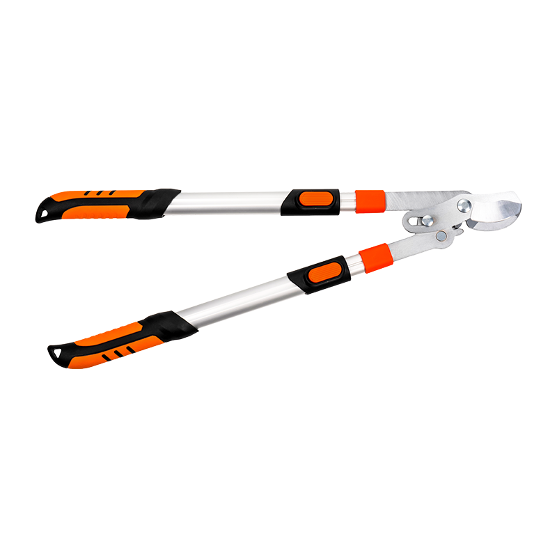 C4202 Telescopic Labor-saving Bypass Loppers